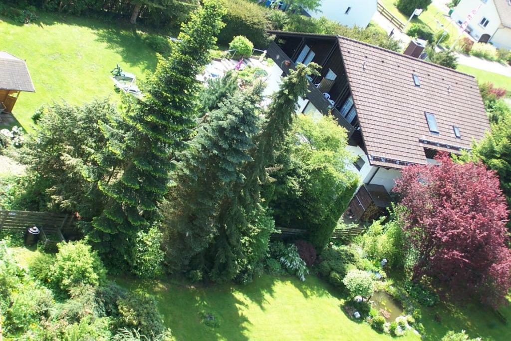 Pension / Hotel Grünes Paradies Hochwaldhausen Exterior foto